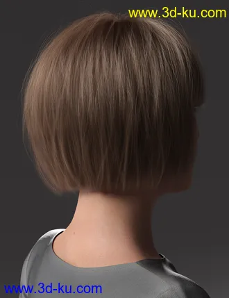 3D打印模型2021-16 Hair for Genesis 8 and 8.1 Females的图片