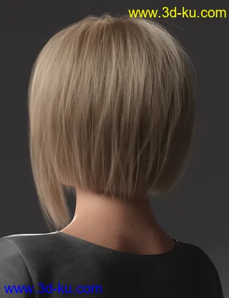 3D打印模型2021-16 Hair for Genesis 8 and 8.1 Females的图片