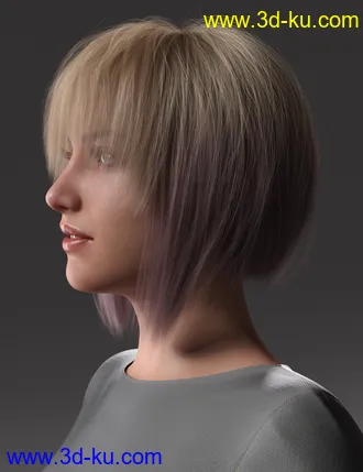 3D打印模型2021-16 Hair for Genesis 8 and 8.1 Females的图片