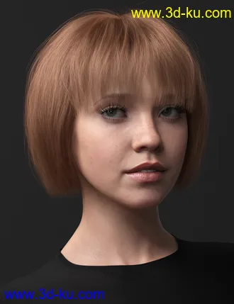3D打印模型2021-16 Hair for Genesis 8 and 8.1 Females的图片