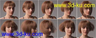 3D打印模型2021-16 Hair for Genesis 8 and 8.1 Females的图片