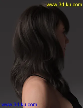 3D打印模型2021-17 Hair for Genesis 8 and 8.1 Females的图片
