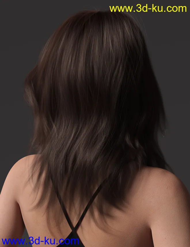 2021-17 Hair for Genesis 8 and 8.1 Females模型的图片6