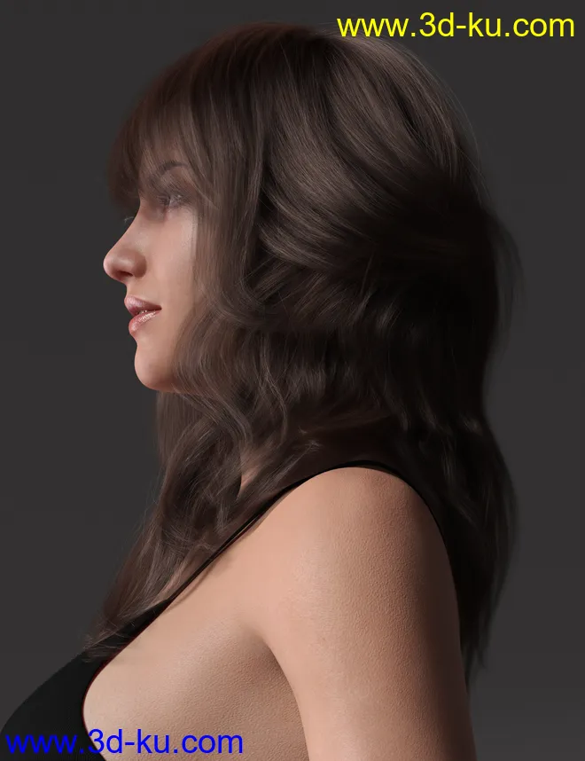 2021-17 Hair for Genesis 8 and 8.1 Females模型的图片7