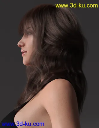 3D打印模型2021-17 Hair for Genesis 8 and 8.1 Females的图片