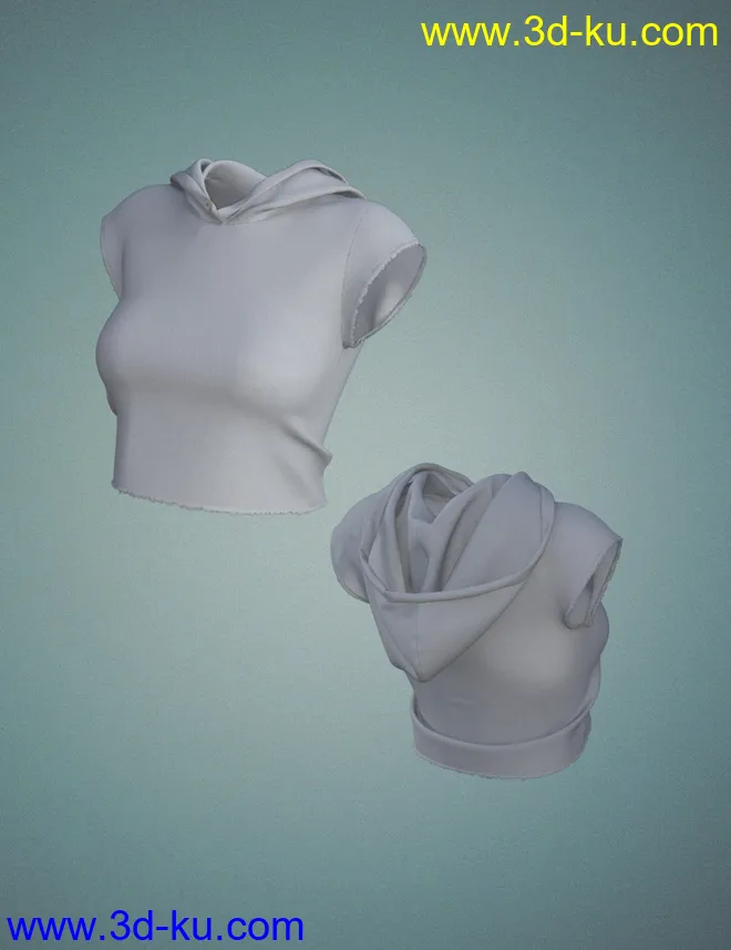 AJC Pro Skate Top for Genesis 8 and 8.1 Females模型的图片4