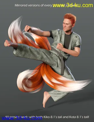 3D打印模型All the Tails Poses for Kota 8.1 and Kiko 8.1 Tails的图片