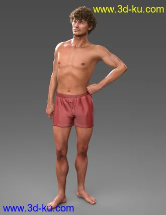 3D打印模型Alternative Shapes for Holt 8的图片