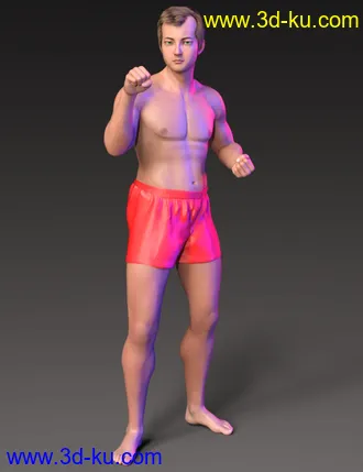 3D打印模型Alternative Shapes for Kota 8.1的图片