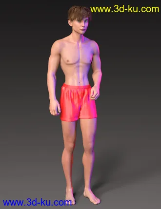 3D打印模型Alternative Shapes for Kota 8.1的图片
