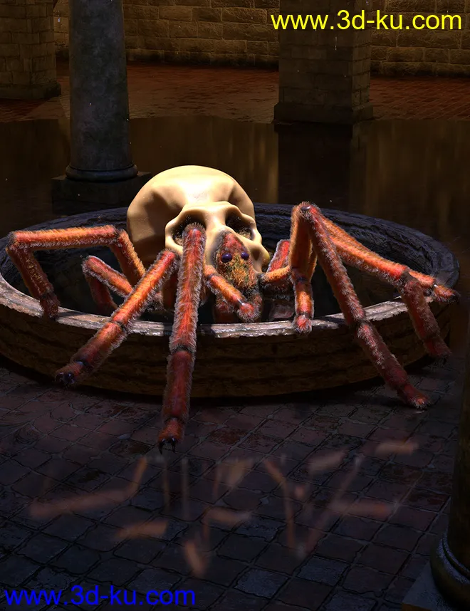 Aracranium Oso Skull Spider模型的图片1
