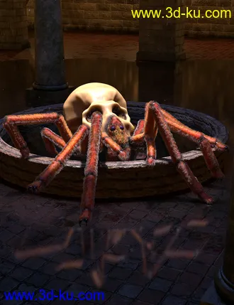 3D打印模型Aracranium Oso Skull Spider的图片