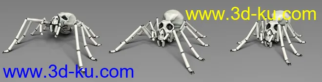 Aracranium Oso Skull Spider模型的图片10