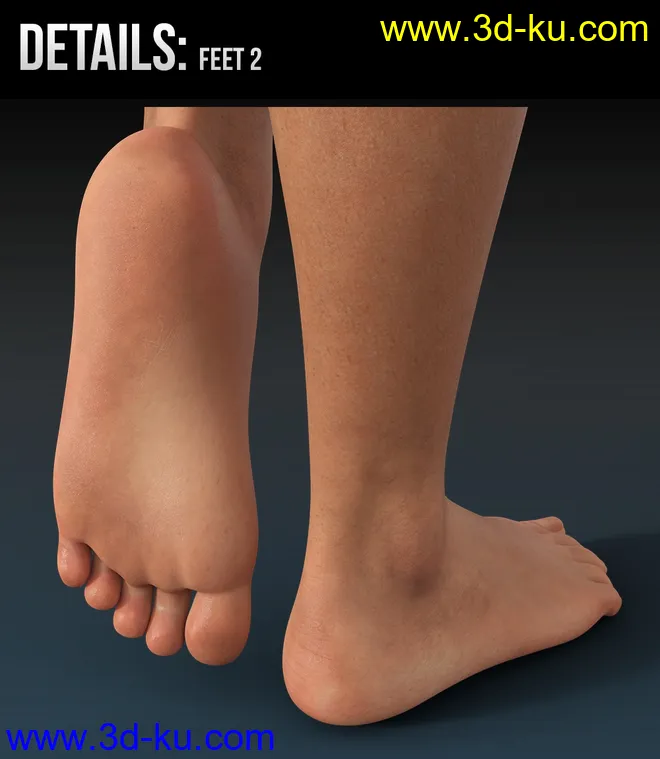 Arianna HD for Genesis 8 and 8.1 Female模型的图片12