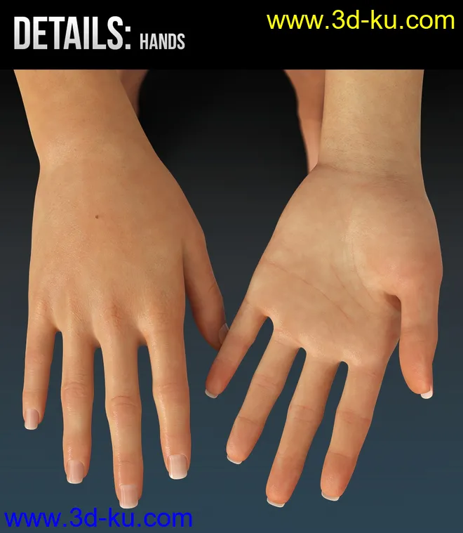 Arianna HD for Genesis 8 and 8.1 Female模型的图片13