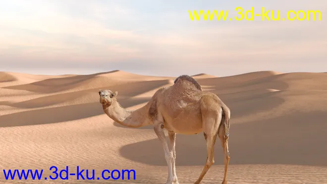 Arid Desert模型的图片2