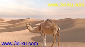 3D打印模型Arid Desert的图片