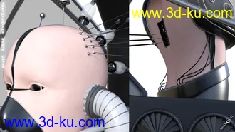 Assimilating Brain Unity模型的图片16