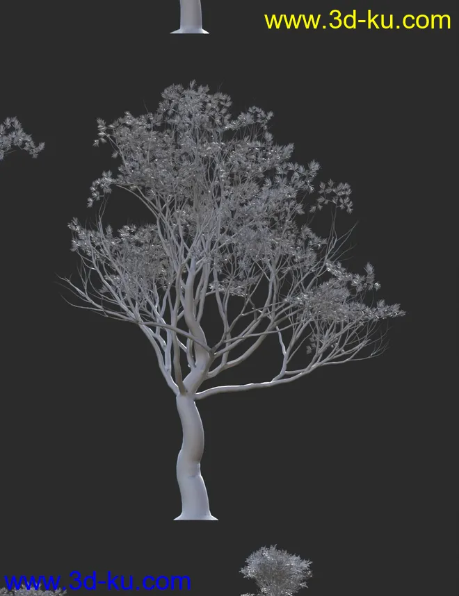 Australian Outback Environment模型的图片12