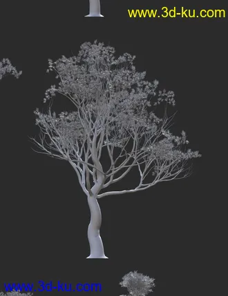 3D打印模型Australian Outback Environment的图片