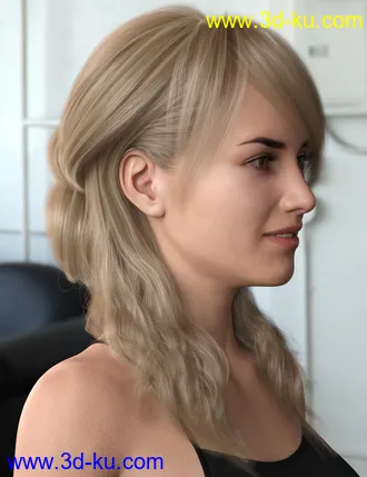3D打印模型Back Updo Hair for Genesis 3 and 8 Female(s)的图片