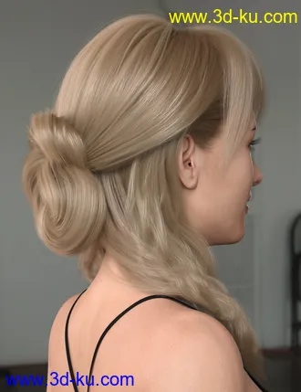 3D打印模型Back Updo Hair for Genesis 3 and 8 Female(s)的图片