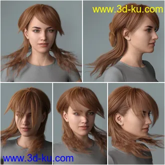 3D打印模型Back Updo Hair for Genesis 3 and 8 Female(s)的图片