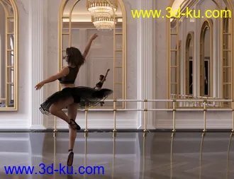 3D打印模型Ballet Dance Room的图片