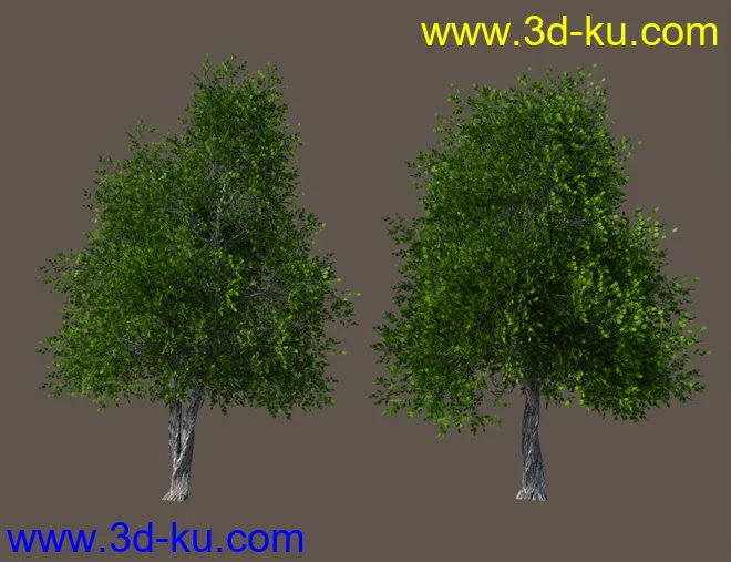Basic Nature Pack模型的图片5
