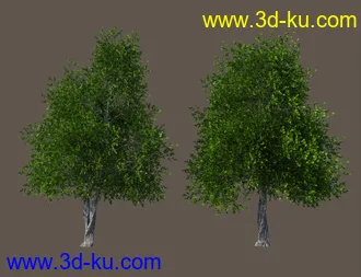 3D打印模型Basic Nature Pack的图片