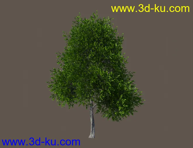 Basic Nature Pack模型的图片6