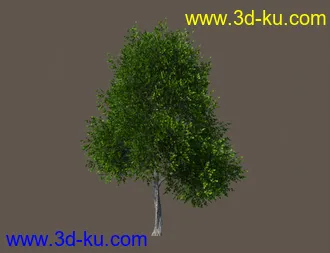 3D打印模型Basic Nature Pack的图片