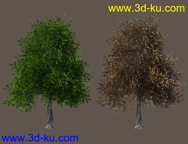 Basic Nature Pack模型的图片11
