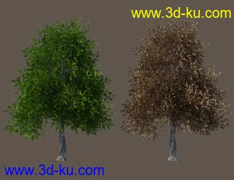 3D打印模型Basic Nature Pack的图片