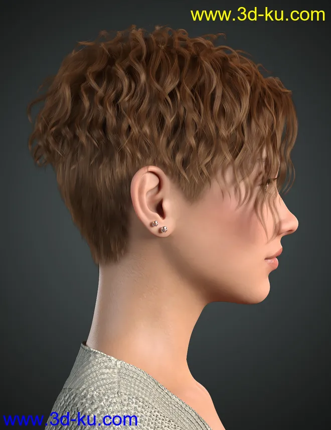 Beatris Hair For Genesis 8 and 8.1 Female模型的图片5