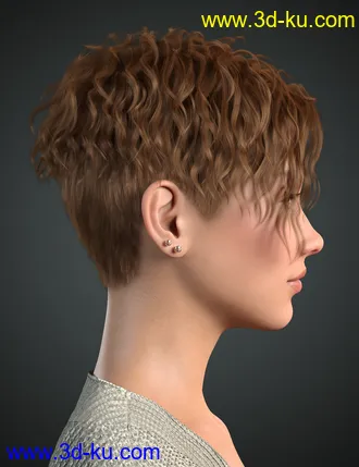 3D打印模型Beatris Hair For Genesis 8 and 8.1 Female的图片