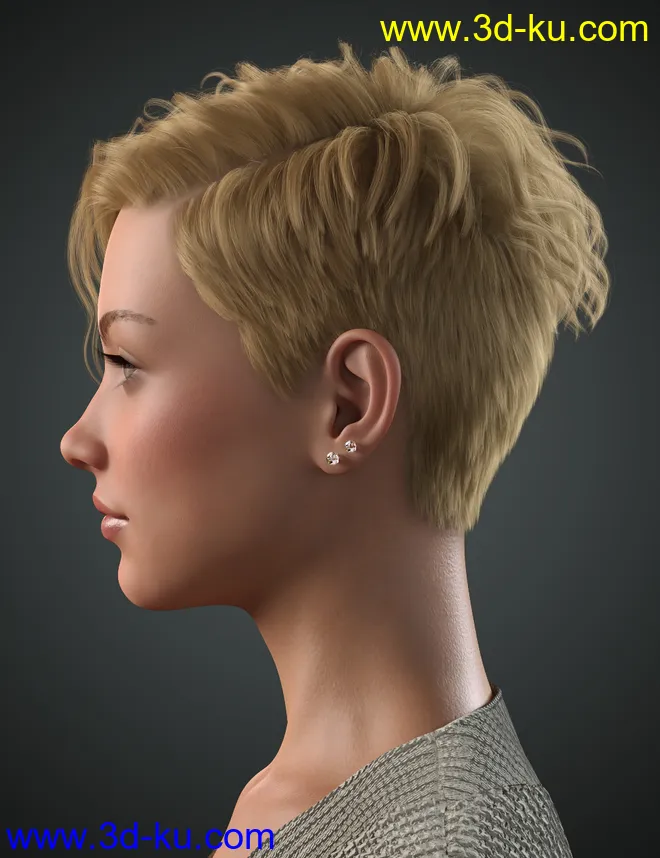 Beatris Hair For Genesis 8 and 8.1 Female模型的图片6