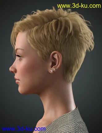 3D打印模型Beatris Hair For Genesis 8 and 8.1 Female的图片