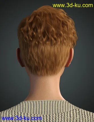 3D打印模型Beatris Hair For Genesis 8 and 8.1 Female的图片