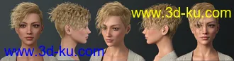 3D打印模型Beatris Hair For Genesis 8 and 8.1 Female的图片