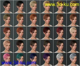 3D打印模型Beatris Hair For Genesis 8 and 8.1 Female的图片