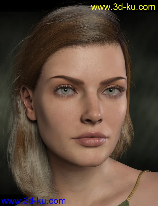 Beautiful Brows II Merchant Resource for Genesis 8 and Genesis 8.1 Females模型的图片1