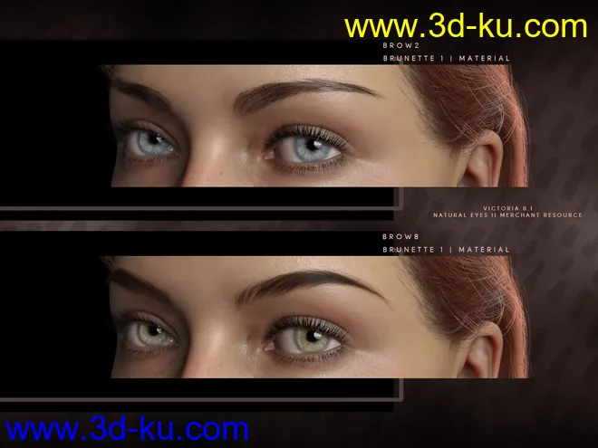 Beautiful Brows II Merchant Resource for Genesis 8 and Genesis 8.1 Females模型的图片2