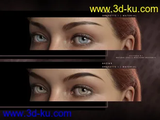3D打印模型Beautiful Brows II Merchant Resource for Genesis 8 and Genesis 8.1 Females的图片