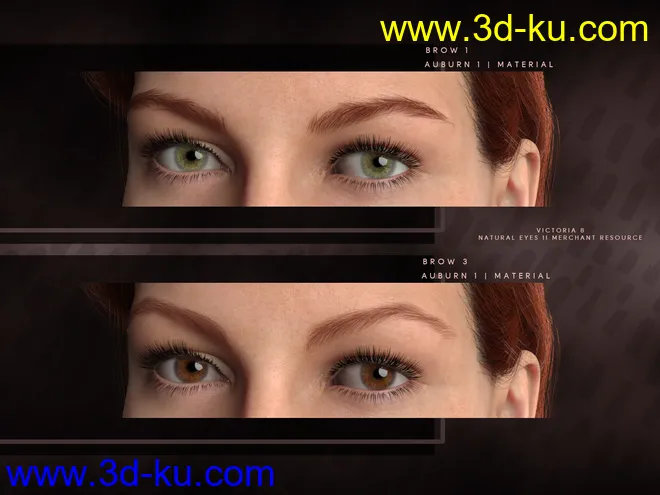 Beautiful Brows II Merchant Resource for Genesis 8 and Genesis 8.1 Females模型的图片3