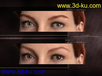 3D打印模型Beautiful Brows II Merchant Resource for Genesis 8 and Genesis 8.1 Females的图片