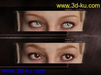 3D打印模型Beautiful Brows II Merchant Resource for Genesis 8 and Genesis 8.1 Females的图片