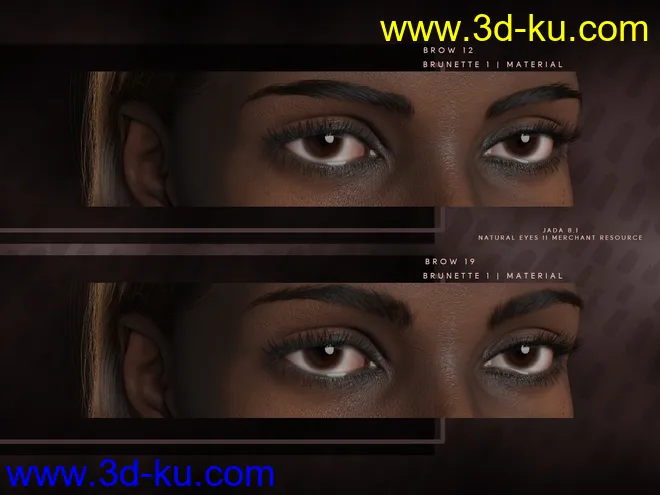 Beautiful Brows II Merchant Resource for Genesis 8 and Genesis 8.1 Females模型的图片5