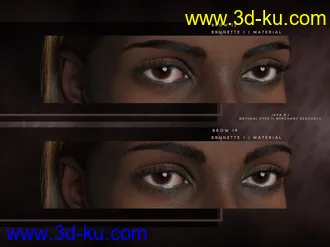 3D打印模型Beautiful Brows II Merchant Resource for Genesis 8 and Genesis 8.1 Females的图片