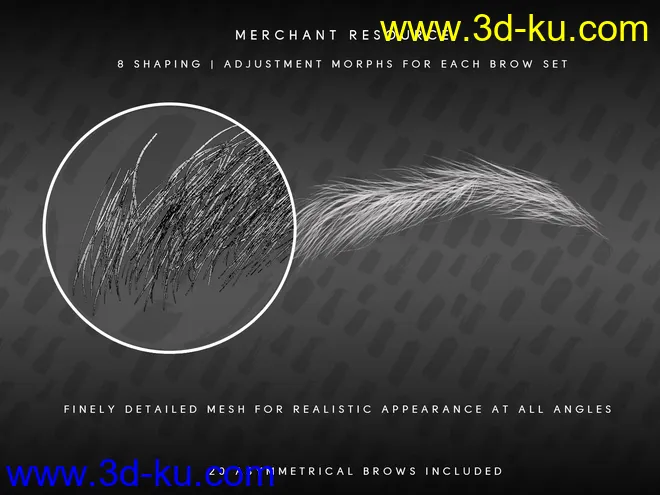 Beautiful Brows II Merchant Resource for Genesis 8 and Genesis 8.1 Females模型的图片6